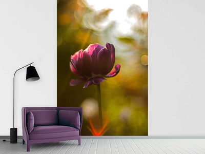 photo-wallpaper-dark-tulips-beauty