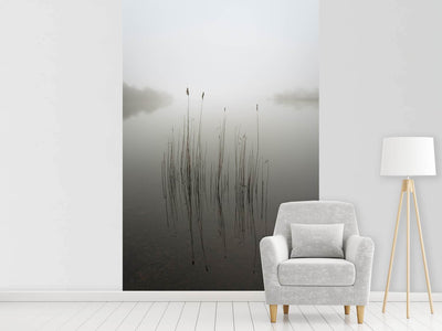 photo-wallpaper-reeds-in-the-mist