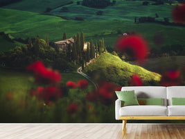 photo-wallpaper-tuscany-spring-blossoms