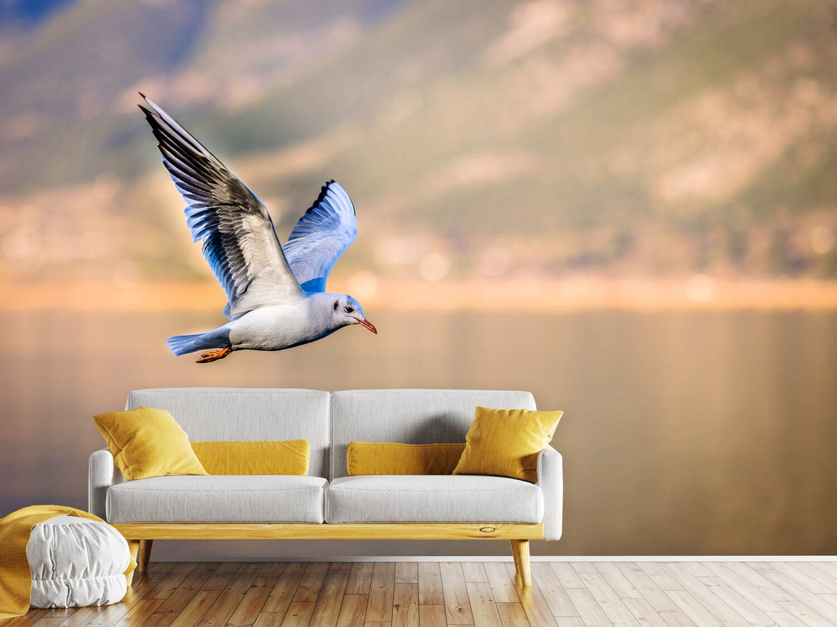 photo-wallpaper-the-flying-seagull