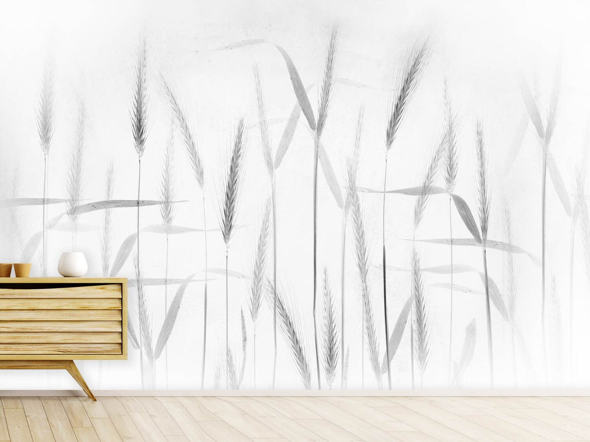 photo-wallpaper-corn-art-x