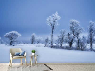 photo-wallpaper-winterland-x