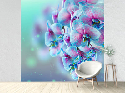 photo-wallpaper-colored-orchids