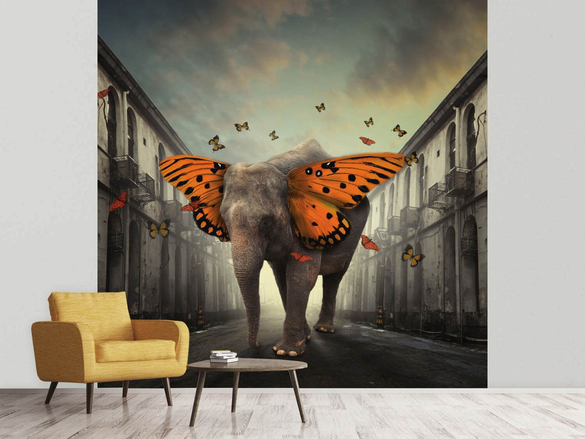 photo-wallpaper-butterphant