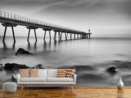 photo-wallpaper-pont-del-petroli-x