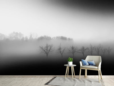 photo-wallpaper-eight-trees-in-the-mist