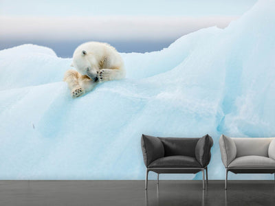 photo-wallpaper-polar-bear-grooming