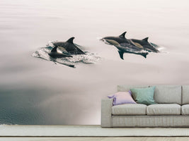 photo-wallpaper-the-dolphins