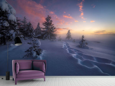 photo-wallpaper-winter-steps-x