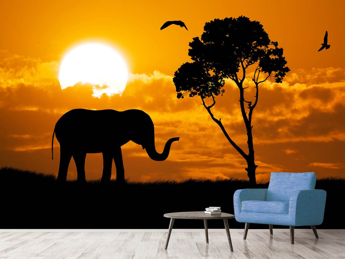 photo-wallpaper-dreamy-africa