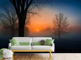 photo-wallpaper-foggy-sunrise-x