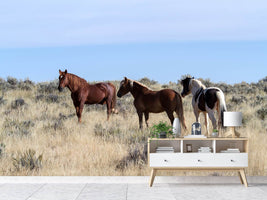 photo-wallpaper-3-horses-in-nature