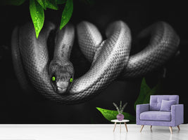 photo-wallpaper-attention-snake