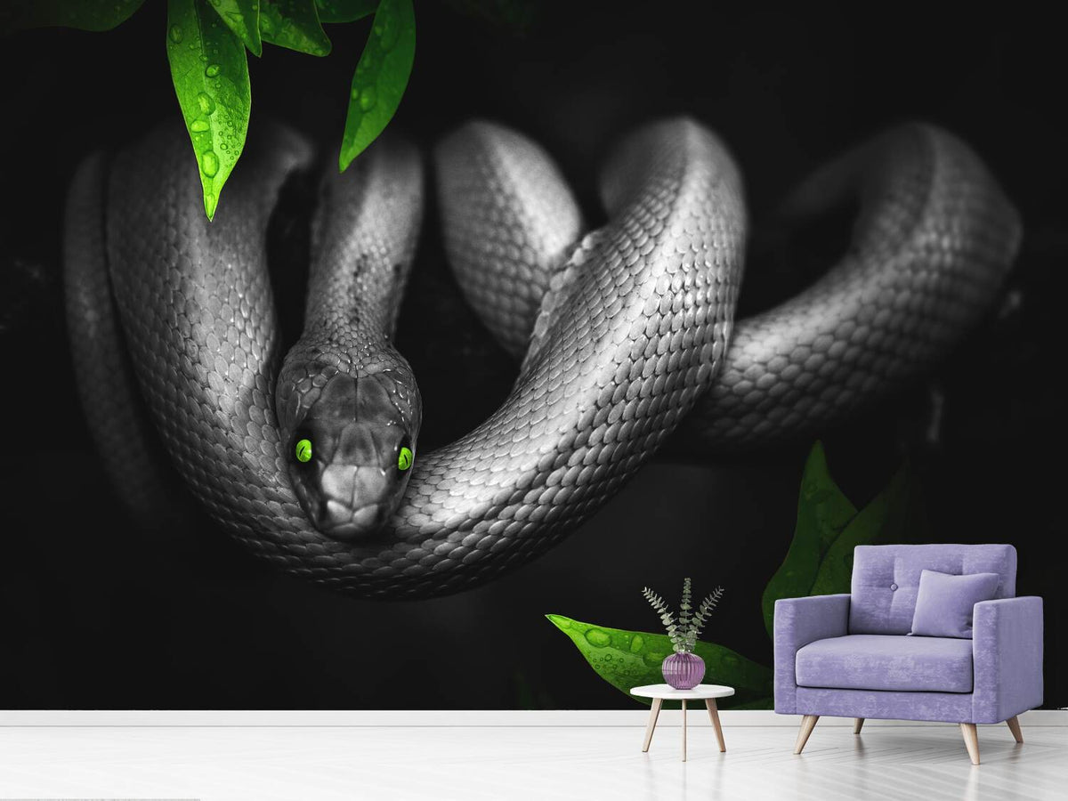 photo-wallpaper-attention-snake