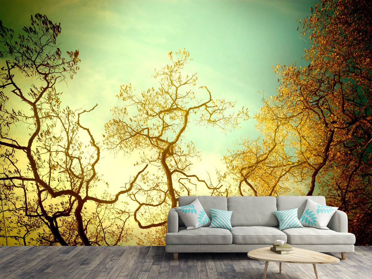 photo-wallpaper-autumn-trees-ii