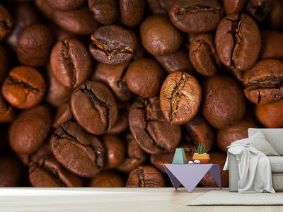 photo-wallpaper-close-up-coffee-beans