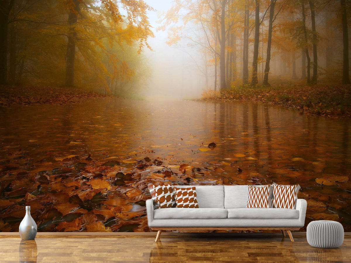 photo-wallpaper-autumn-flooding-x