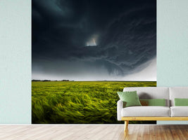 photo-wallpaper-sommergewitter-ii