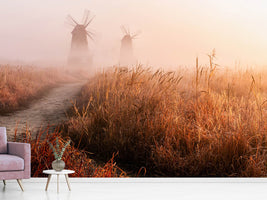 photo-wallpaper-morning-mist-x