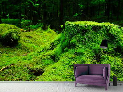 photo-wallpaper-moss-in-the-forest