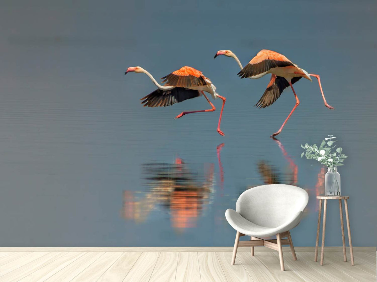 photo-wallpaper-flamingo-landing-x