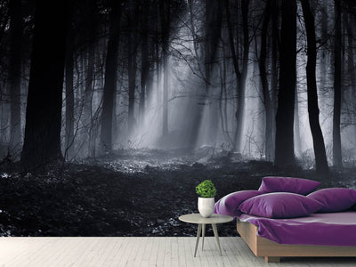 photo-wallpaper-capela-forest