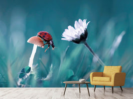 photo-wallpaper-the-story-of-the-lady-bug