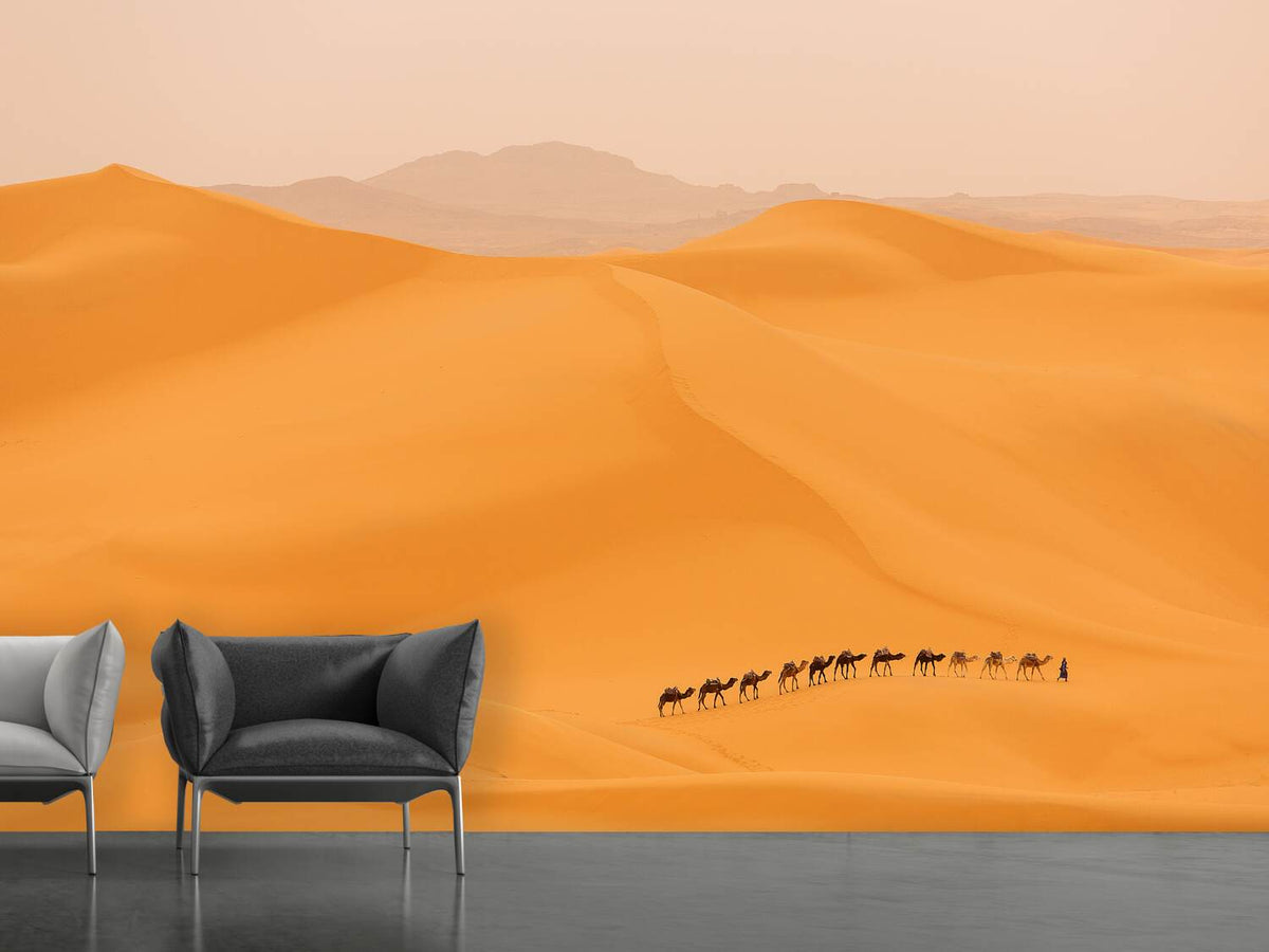 photo-wallpaper-camels-caravan-in-sahara-x