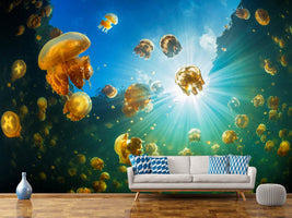 photo-wallpaper-sunlight-and-jellyfish-x