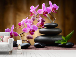 photo-wallpaper-wellness-stones