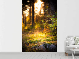 photo-wallpaper-the-forest-in-the-background