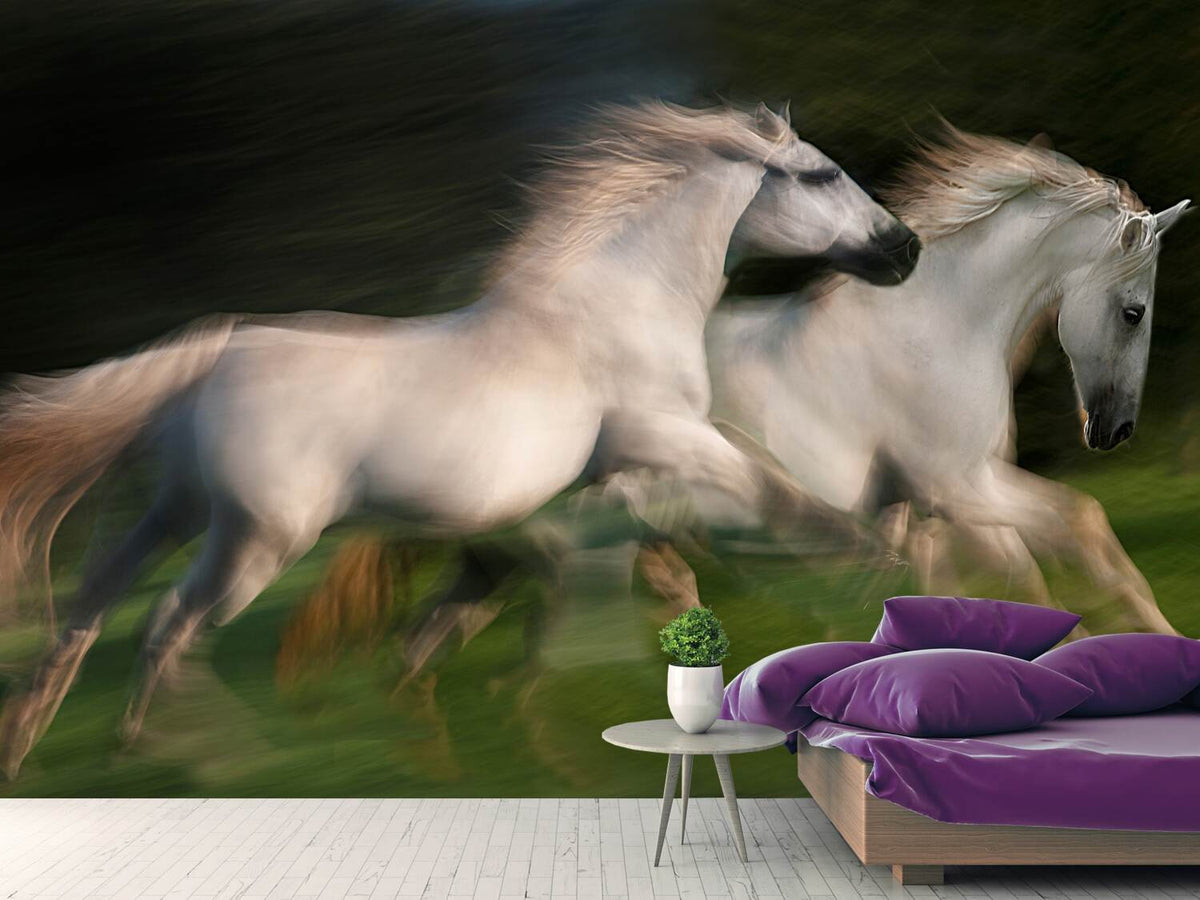 photo-wallpaper-gallop-for-two