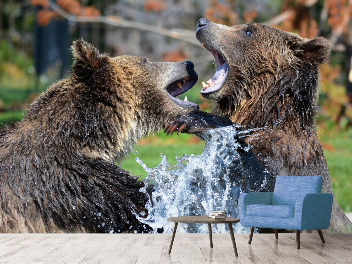 photo-wallpaper-grizzly-fight