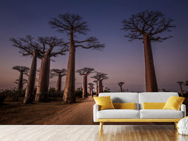 photo-wallpaper-allace-des-baobabs-x