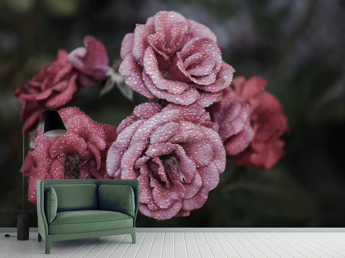 photo-wallpaper-romantic-roses