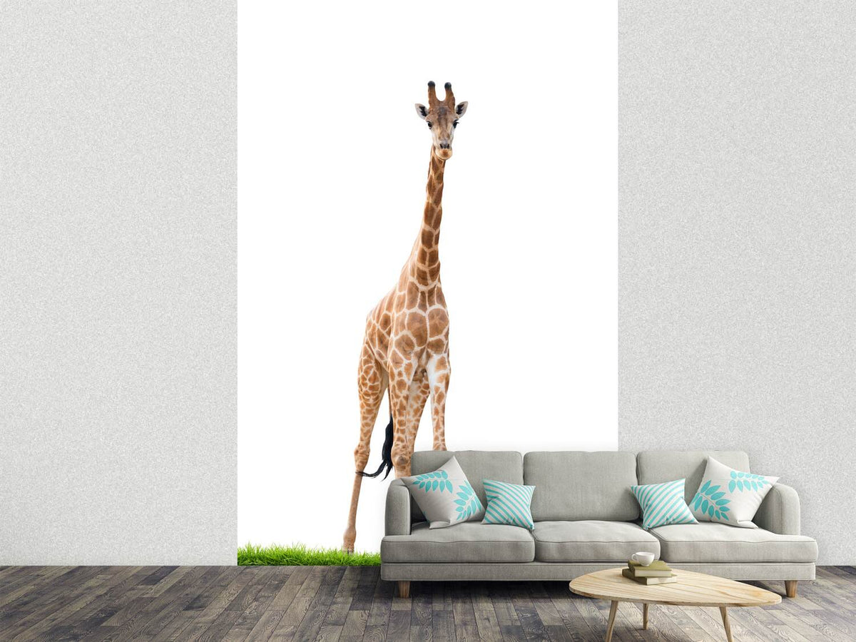 photo-wallpaper-the-long-giraffe