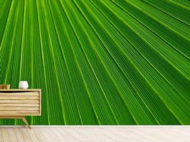 photo-wallpaper-palm-stripe-i