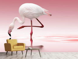 photo-wallpaper-flamingo