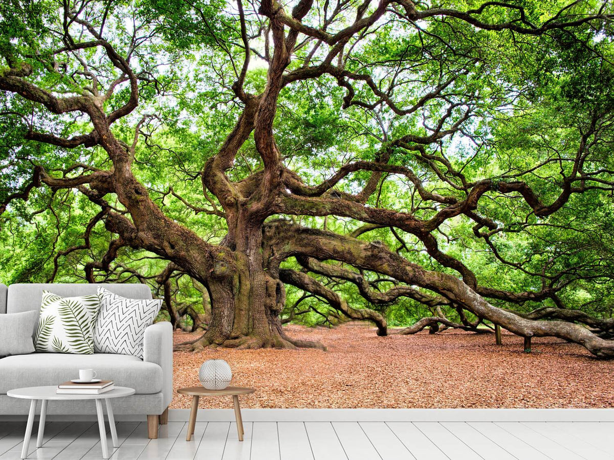 photo-wallpaper-the-oak