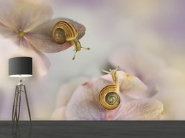 photo-wallpaper-little-snails-x