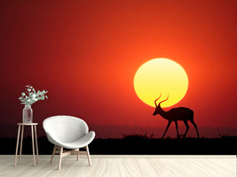 photo-wallpaper-an-african-sunset-x