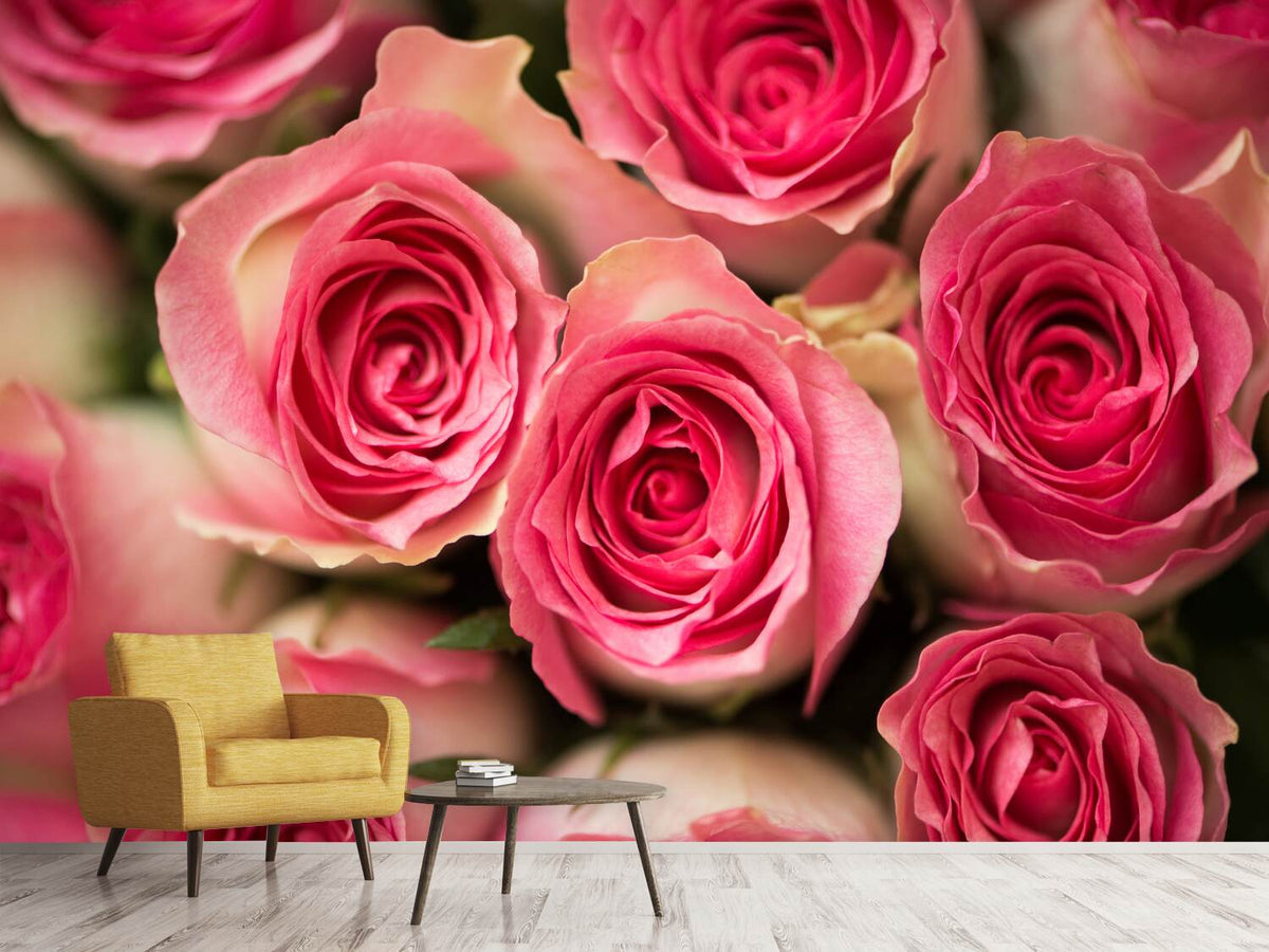 photo-wallpaper-rose-love