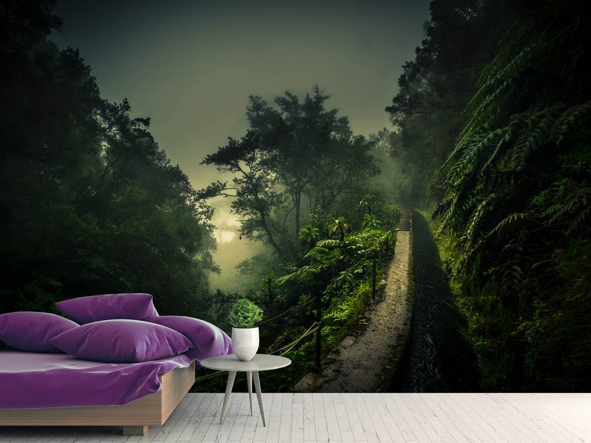 photo-wallpaper-levada-walk-x