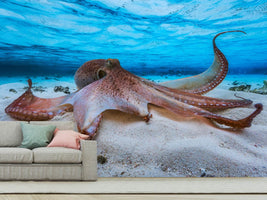 photo-wallpaper-octopus