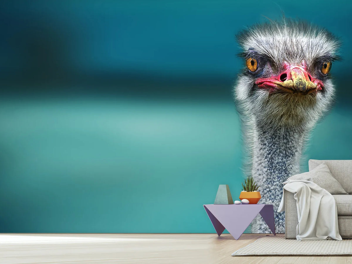 photo-wallpaper-blue-meets-ostrich