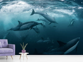 photo-wallpaper-dolphine-run-x