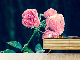 photo-wallpaper-beautiful-pink-roses