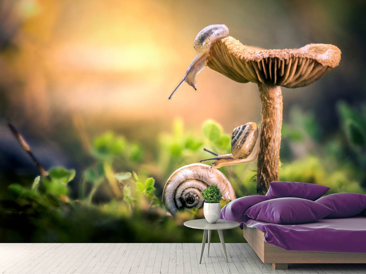 photo-wallpaper-the-awakening-of-snails