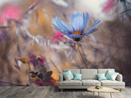 photo-wallpaper-things-that-flowers-tell-x