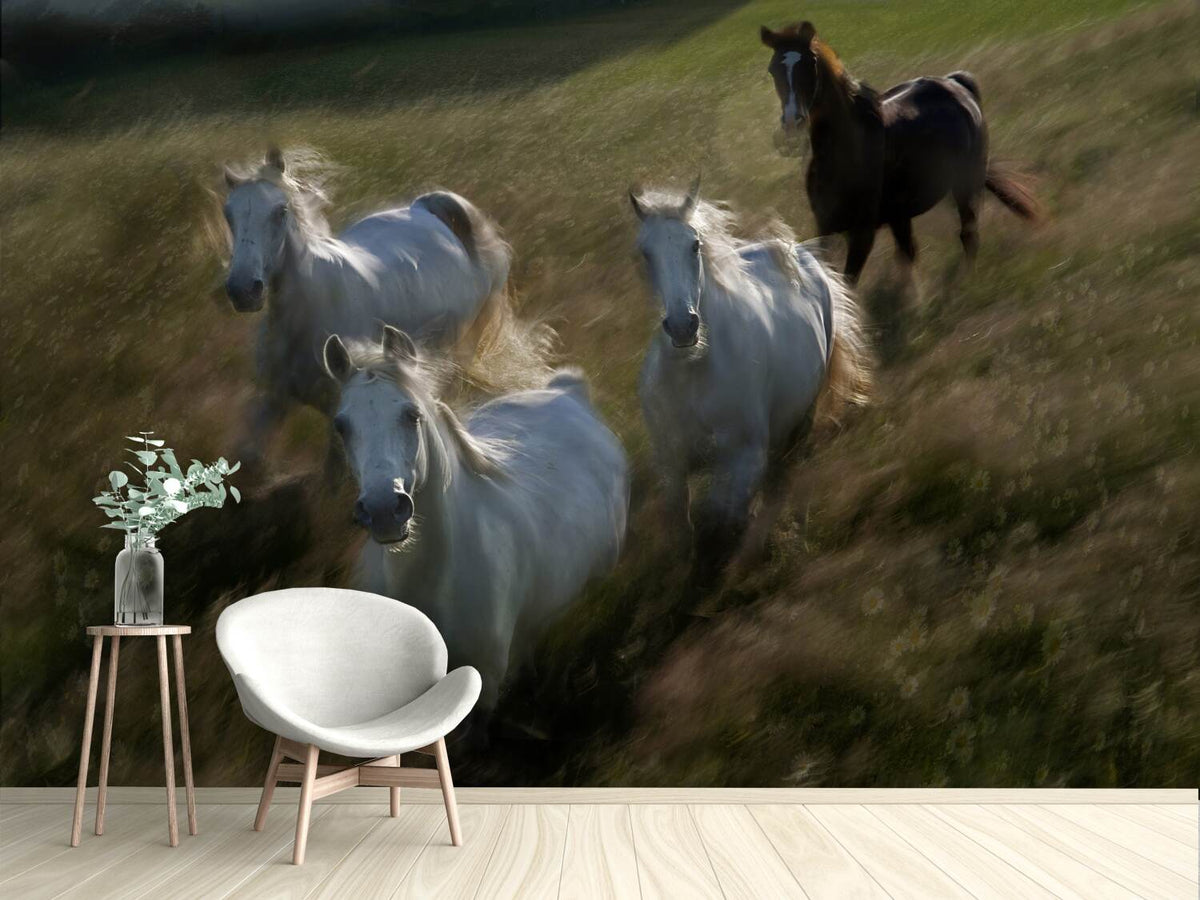 photo-wallpaper-gallop-in-x